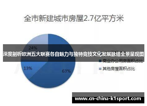 深度剖析欧洲五大联赛各自魅力与独特竞技文化发展脉络全景呈现图