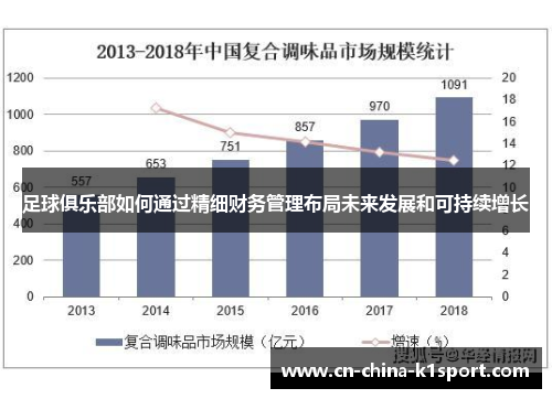 足球俱乐部如何通过精细财务管理布局未来发展和可持续增长