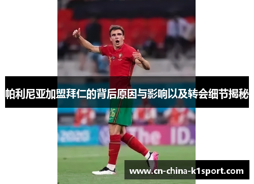 帕利尼亚加盟拜仁的背后原因与影响以及转会细节揭秘 帕利尼亚加盟拜仁的背后原因与影响以及转会细节揭秘